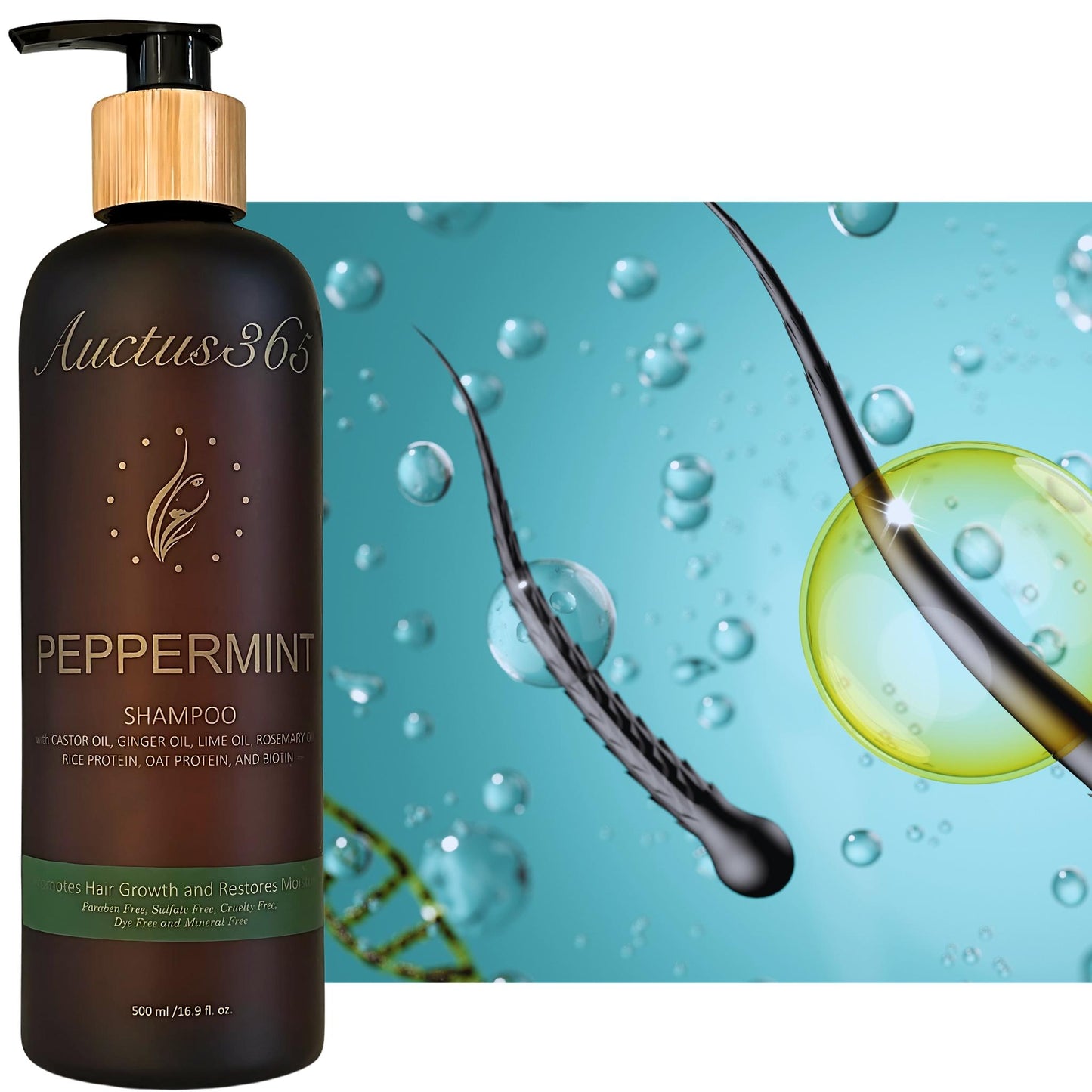 Auctus365 Peppermint Shampoo