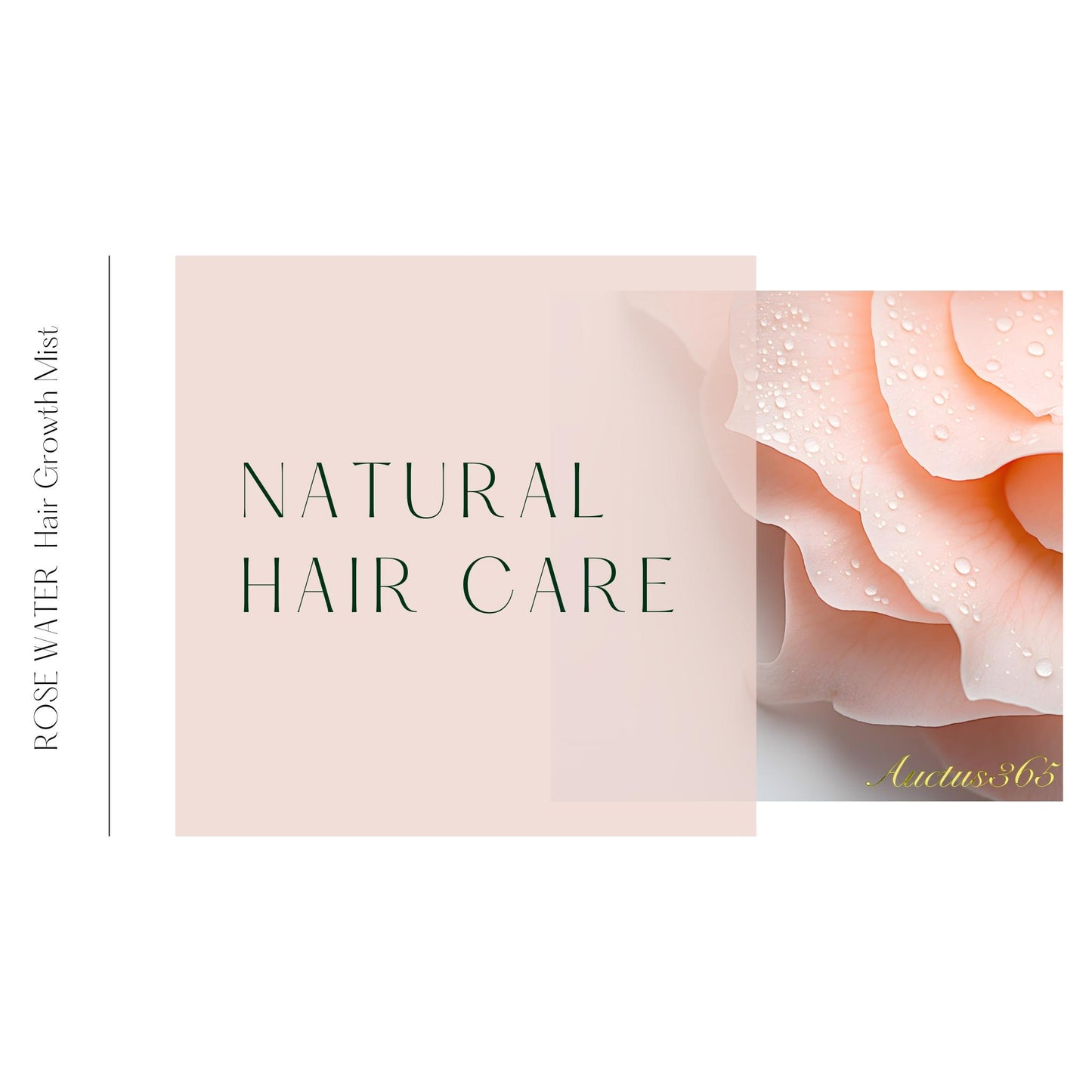 Auctus365 Rose Water Hydrosol Hair Growth Mist