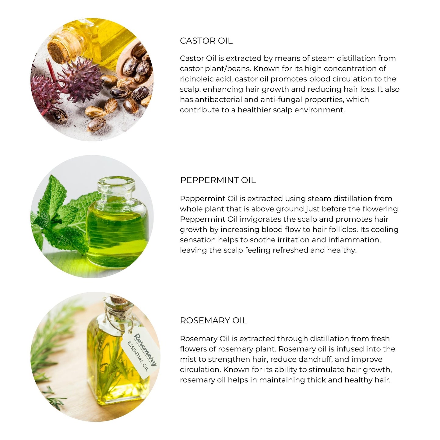 Auctus365 Hair Growth Oil