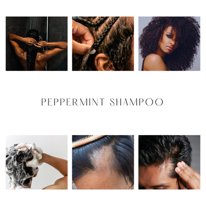 Auctus365 Peppermint Shampoo