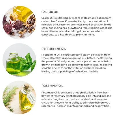 Auctus365 Peppermint Conditioner